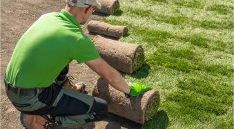 Landscaper