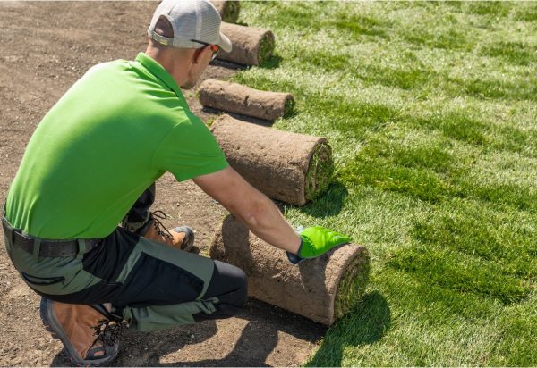 Landscaper